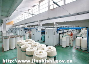 宏力紡織 產業集群驅動，鑄就百億紡織工程新篇章